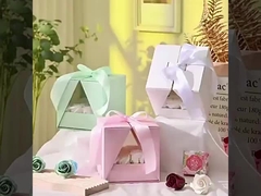 Przezroczyste pudełko prezentowe w kształcie litery V z podwójnym otwarciem, wysokiej jakości ekspozytor na ciasto kwiatowe