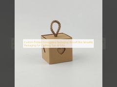 Custom Printed Corrugated Packaging Aircraft Box Versatile Packaging For Clothing Toys & Gifts